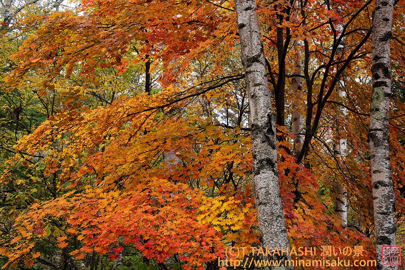 ../Images/7R251026 (285).jpg